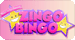 Zingo Bingo Review